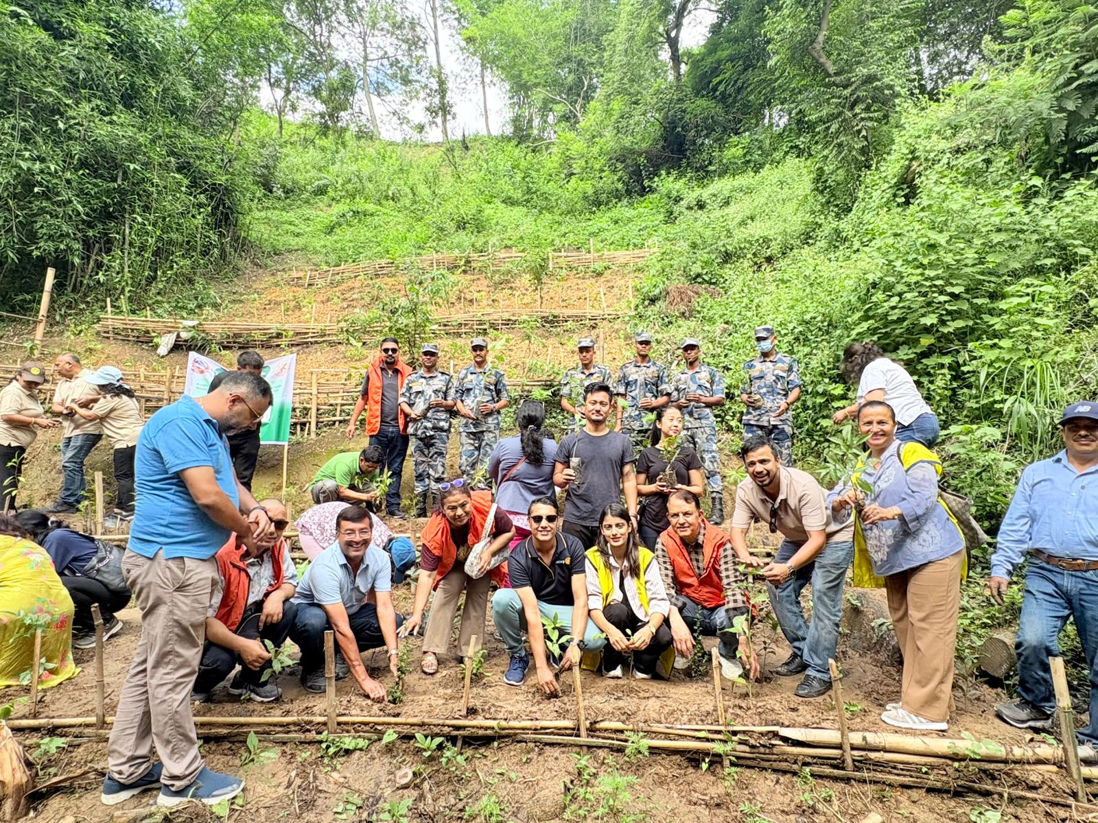 Plantation Program